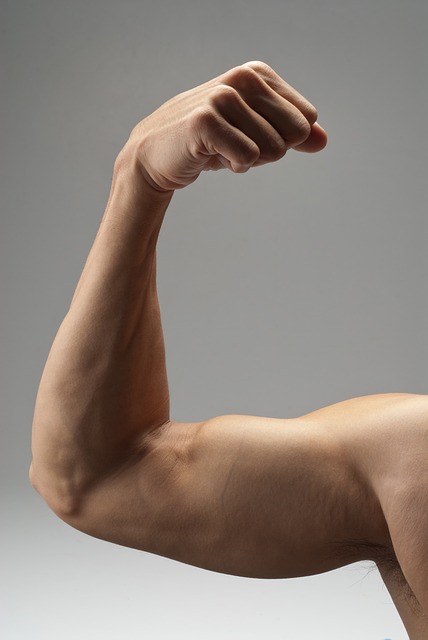 Как правильно набрать мышечную массу: 8 лучших советов питания и тренировки для набора мышечной массы