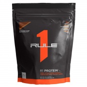 R1 Protein 460g