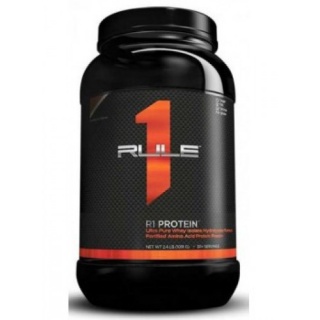 R1 Protein 1000g