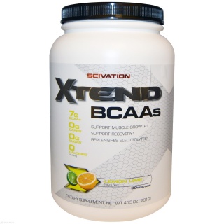 X-Tend 1228 gr SCIVATION Bcaa