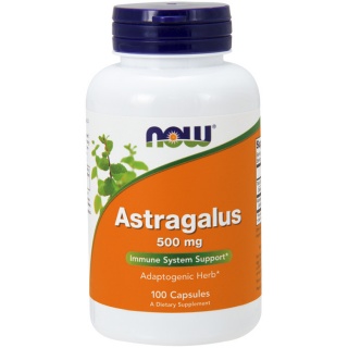 Astragalus 500 mg 100caps Now