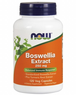 Boswellia Extract 250mg Now 120 caps