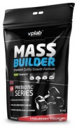 Mass Bulder  5 кг VP-Lab