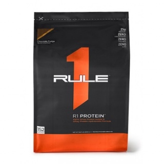 R1 Protein 4576g