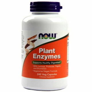 Plant Enzymes 240 Caps Now