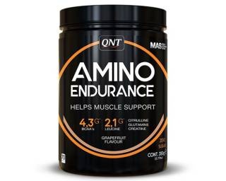 Amino Endurance 350g Qnt