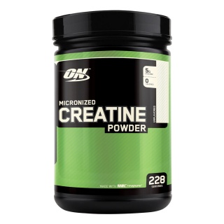 Creatine powder 1200g ON