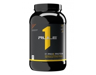 R1 Pro 6 Protein 910g