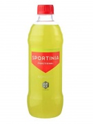 Isonorm 500ml Sportinia
