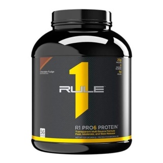 R1 Pro 6 Protein 1904 g