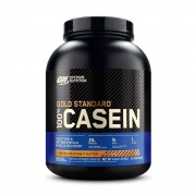 100% Casein Protein 1820 г  ON